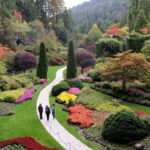 Victoria, BC: City Tour and Butchart Gardens Combo Tour - The City Tour: An Insider’s Look