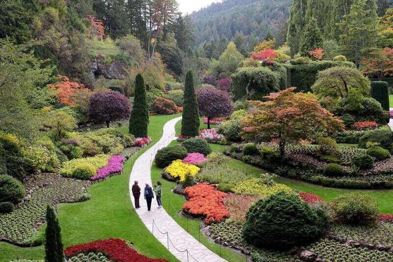 Victoria, BC: City Tour and Butchart Gardens Combo Tour - The City Tour: An Insider’s Look
