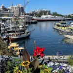 Victoria City and Butchart Gardens Private Tour - Who Would Enjoy This Tour?