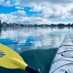 Victoria: Kayak Harbour Tour - Exploring Victoria’s Harbour by Kayak: A Detailed Review