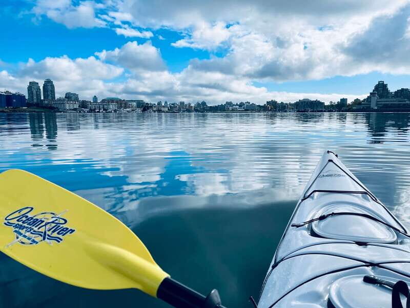 Victoria: Kayak Harbour Tour - Exploring Victoria’s Harbour by Kayak: A Detailed Review