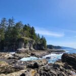 Victoria: Old Growth Rainforest Canyon Waterfall and Beaches - What Sets This Tour Apart