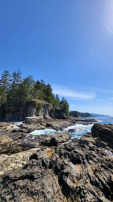 Victoria: Old Growth Rainforest Canyon Waterfall and Beaches - What Sets This Tour Apart