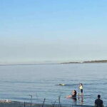 Victoria: Paddle Board Tour at Willows Beach - What’s Included and What’s Not