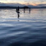 Victoria: Secret Beaches and Islands SUP Tour - What to Expect During the Tour