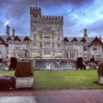 Victoria: Skywalk & Hatley Castle Private Tour - Price and Value Consideration