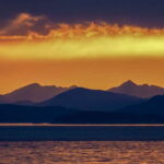 Victoria: Sunset Whale Watching Tour on an Open Scarab Boat - The Sum Up