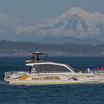 Victoria: Sunset Whale Watching Tour on Semi-Covered Boat - What to Expect on the Tour