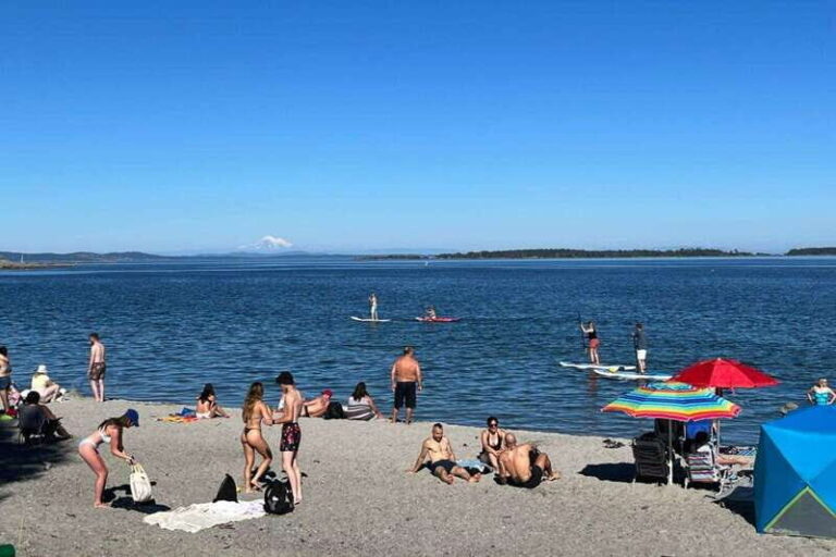 Victoria: Upper Gorge Waterway Paddle Boarding Tour - Why This Tour Offers Excellent Value