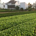 Viet Garden Cooking Class (Countryside and Market tour) - Why This Tour Is a Great Value
