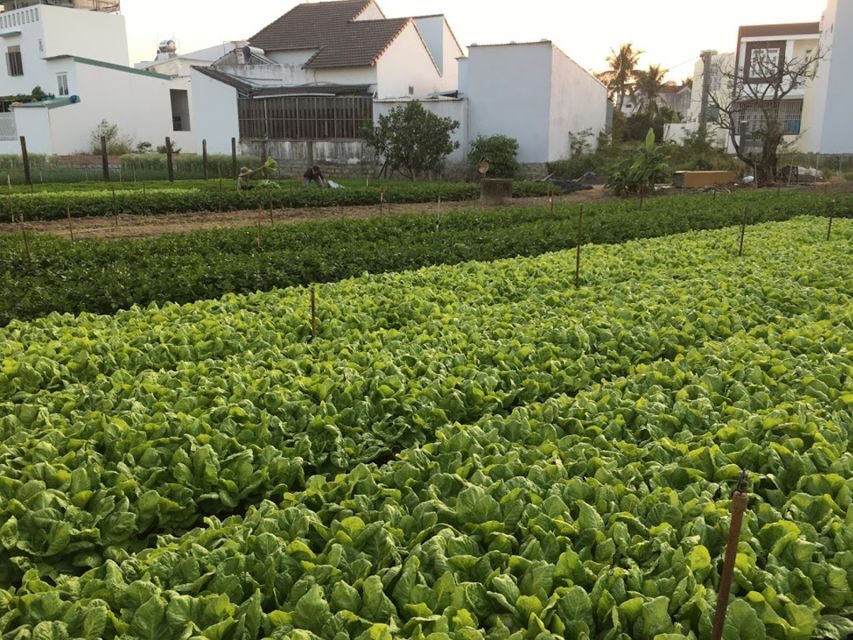 Viet Garden Cooking Class (Countryside and Market tour) - Why This Tour Is a Great Value