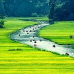 Vietnam Package Tours - Hanoi Green Travel - FAQ