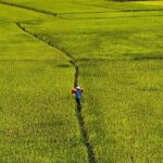 Vietnams largest natural freshwater lake - Ba Be Lake Adventure - The Practicalities of Booking and Cost