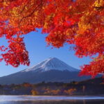 View of Mt. Fuji is good! Sushi making experience class - An In-Depth Look at the Sushi Making Class Near Mount Fuji