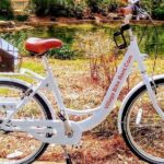 Village Bicycle Rental Free Delivery in The Villages Florida - Who is This Tour Best For?