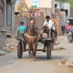 Village Snapshot - Pure and simple - The Value of the Experience