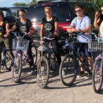 Vine and Dine Bicycle Wine Tour with Lunch - Analyzing the Value