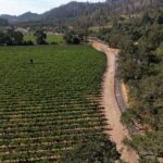 Vine Trail Discovery E-Bike Tour - Why This Tour Delivers Value