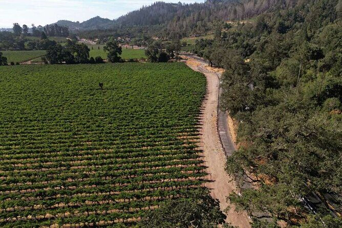 Vine Trail Discovery E-Bike Tour - Why This Tour Delivers Value