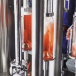 Vineyard, tour, tasting and fun in San Miguel de Allende - What Travelers Say: Authentic Perspectives