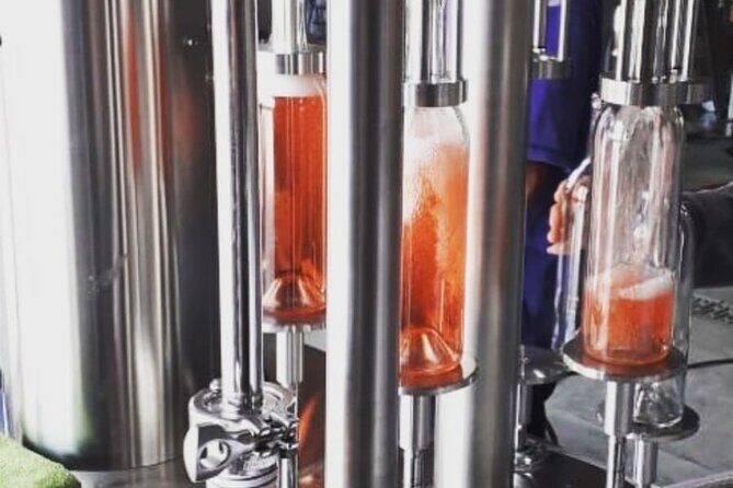 Vineyard, tour, tasting and fun in San Miguel de Allende - What Travelers Say: Authentic Perspectives