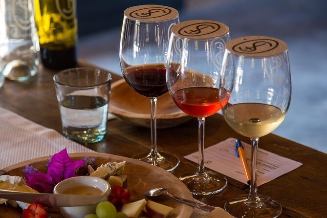 Vineyards, Wine Tasting and Pairing in San Miguel - Frequently Asked Questions