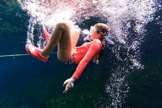 VIP Cenotes Private Tour (half-day) - An In-Depth Look at the VIP Cenotes Private Tour