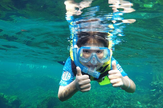 VIP Cenotes Private Tour - Final Thoughts: Is This Tour Right for You?