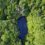 VIP Cenotes & Turtles Private Tour - Why the Tour Works for Different Travelers