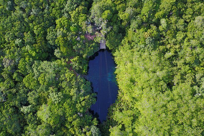 VIP Cenotes & Turtles Private Tour - Why the Tour Works for Different Travelers