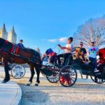 VIP Central Park Experience Tour with photos 50min~Skip the line - Who is This Tour Best For?