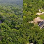 VIP Chichen Itza & Coba Private Tour - Who Should Book This Tour?