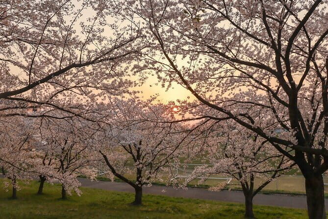 VIP Exclusive Hidden Niigata Tour with Artisans and Farmers - A Deep Dive into the Experience