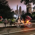 VIP Horse Carriage Ride through Central Park (Up to 4 Adults) - Who Is This Tour Best For?