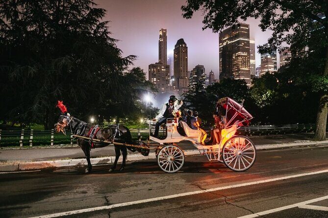 VIP Horse Carriage Ride through Central Park (Up to 4 Adults) - Who Is This Tour Best For?