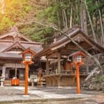 VIP: Mt Fuji Private Tour with Sengen Shrine Visit from Tokyo - A Deep Dive into the Mt. Fuji Private Tour Experience