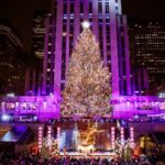 VIP Rock Pass: Includes Skylift, Beam, Rooftop Garden - Why This Tour Works for Different Types of Travelers