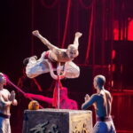 VIP Seated Kungfu Show With Dinner Option and Transportation - Who Will Love This Tour?