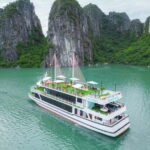 VIP TOUR - Seaplane 25-minutes + Halong Bay Cruise 1 Day - An In-Depth Look at the Halong Bay VIP Tour