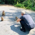 VIP Tour to Can Gio Mangrove Forest by Speed Boat - FAQs