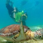 VIP Tulum & Turtles Private Tour - A Closer Look at the Experience