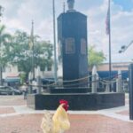 VIP Walking Tour of Little Havana - An In-Depth Look at the Little Havana VIP Walk