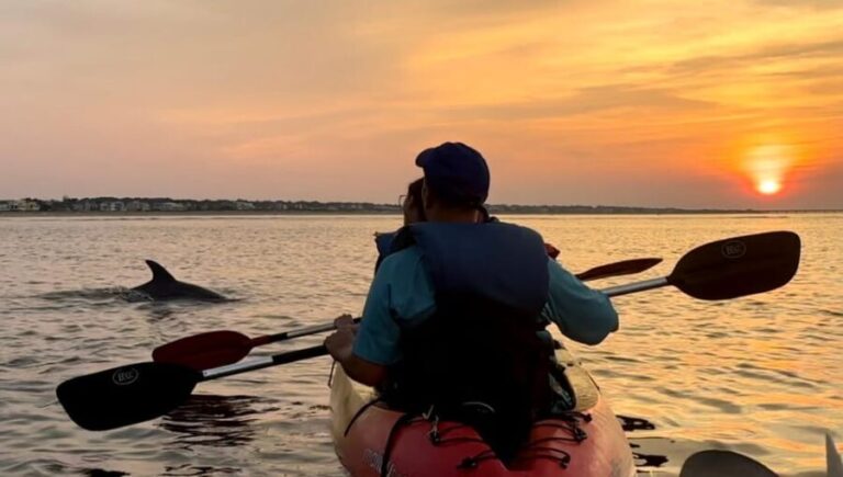 Virginia Beach: Dolphin Kayak Tour: This is a Workout! - An In-Depth Look at the Virginia Beach Dolphin Kayak Tour