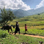 Visit all place in Sa Pa with easy riders - Who Should Consider This Tour?