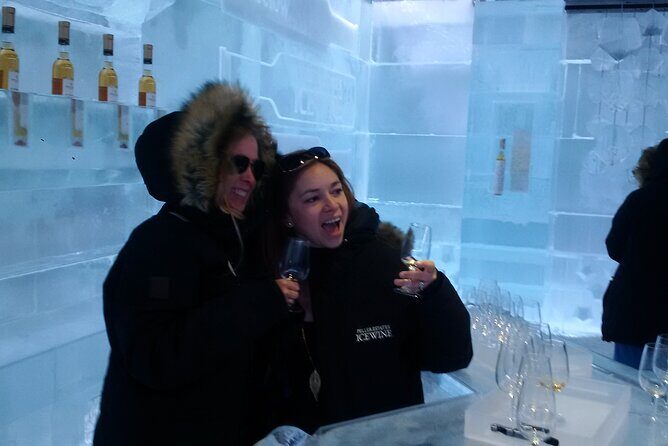 Visit Niagara Falls and experience a VIP Wine Tour - What Makes This Tour Stand Out?