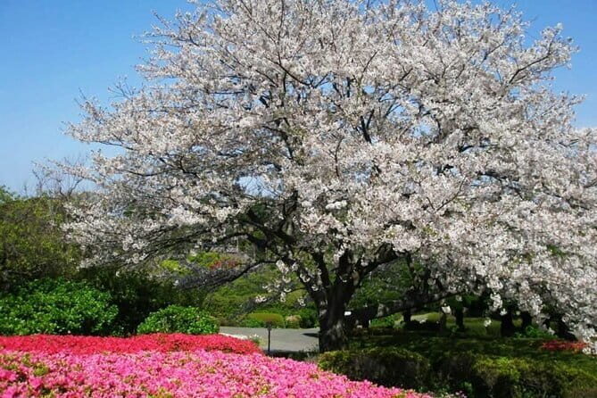 Visit Nokonoshima Island with Natural Attraction Pass - FAQ