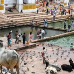 Visit Pushkar with Jaipur Drop from Bikaner - Authenticity and Value