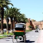 Visit Taroudant and Tiout 1 day From Agadir - Authentic, Balanced, and Rewarding Travel
