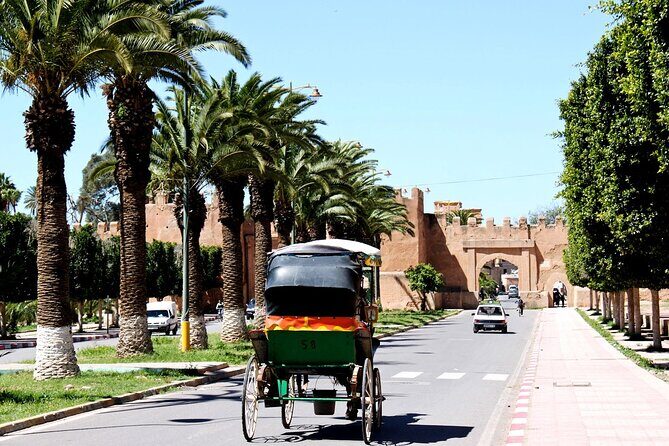 Visit Taroudant and Tiout 1 day From Agadir - Authentic, Balanced, and Rewarding Travel