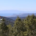 Volcano Hike with Pacific and Kuttara Lake Views - An In-Depth Look at the Volcano Hike Experience